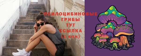 стафф Богородицк