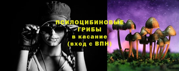стафф Богородицк
