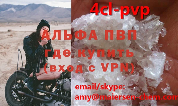 стафф Богородицк