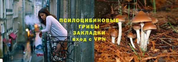стафф Богородицк